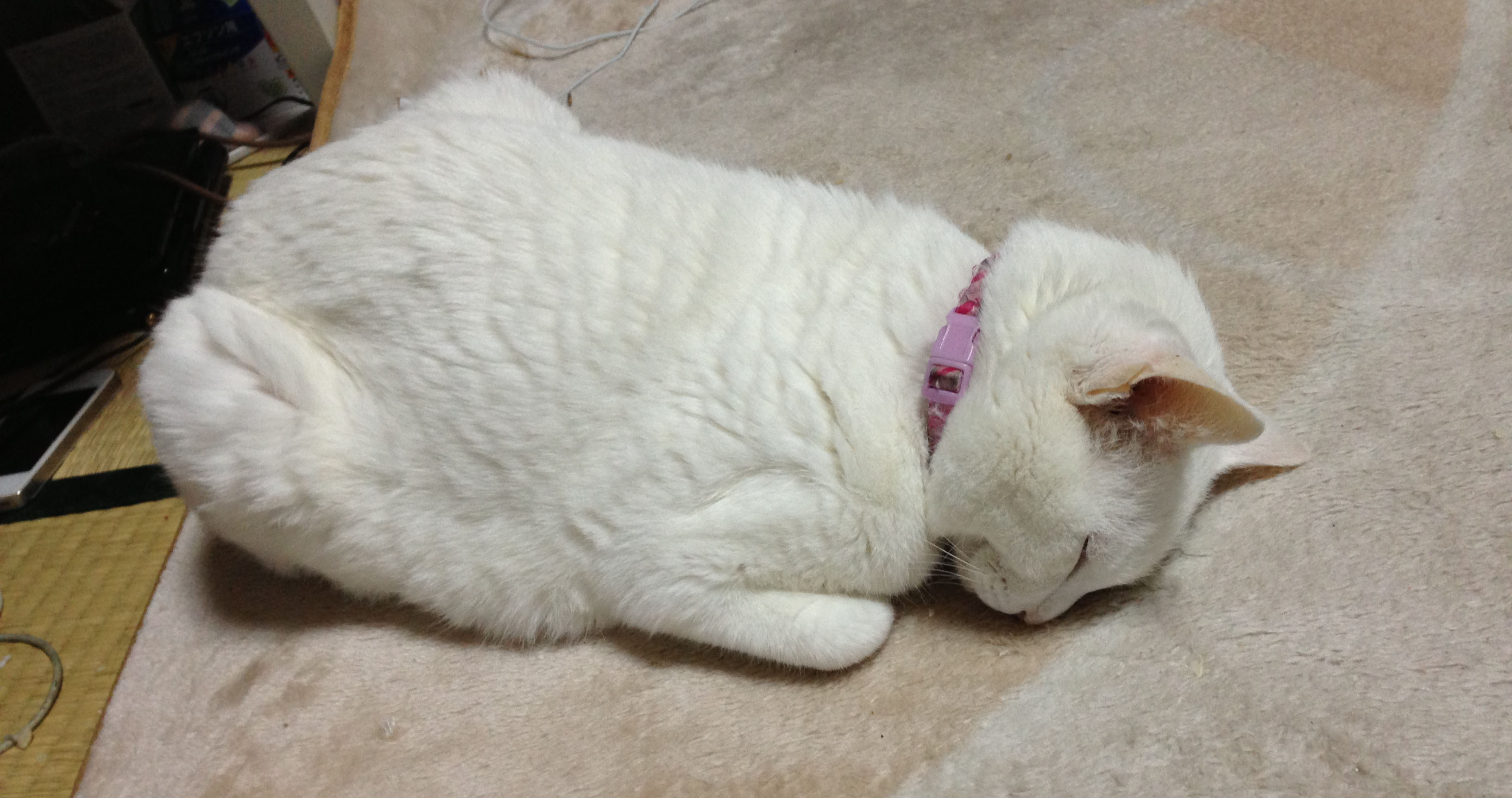 test2