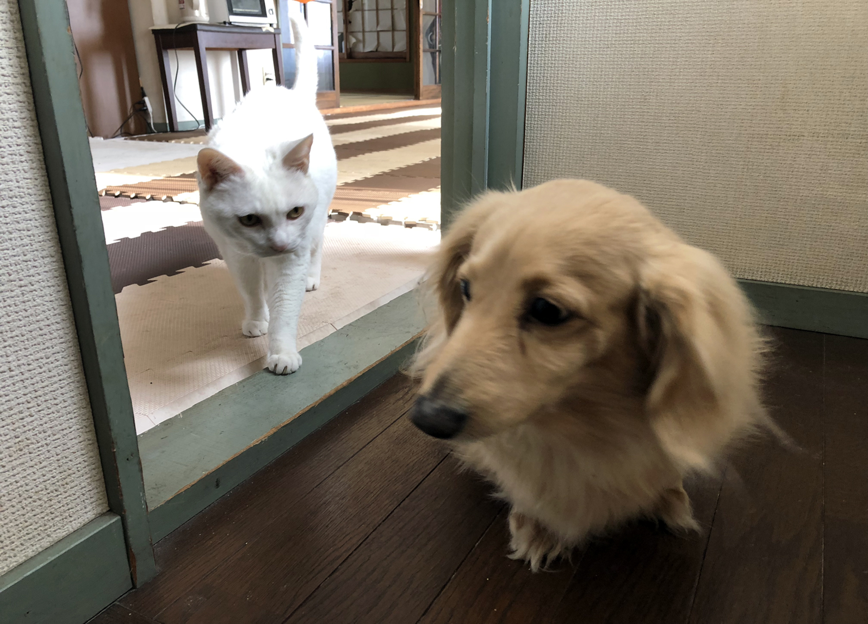 test3